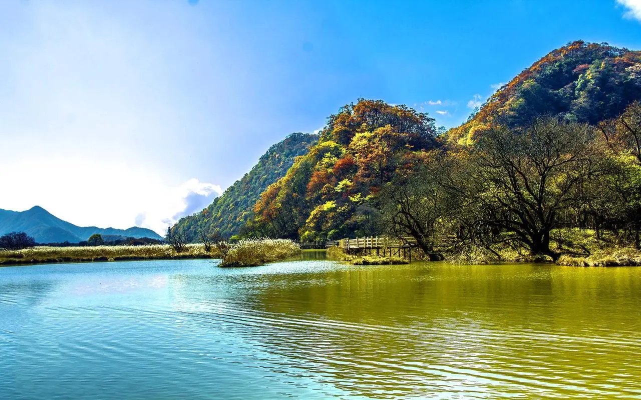 高精度高性能